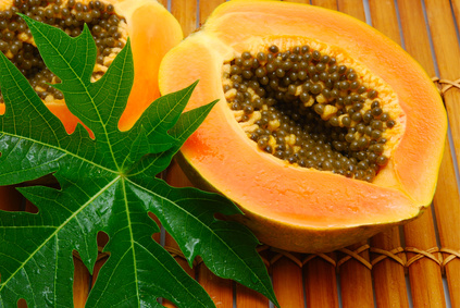 Les gélules de feuilles de papaye bio et les graines de fruit de papaye bio sont deux anti-cancers purement naturels